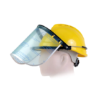 SAFEYEAR W 018 SAFETY HELMET WITH BLUE EAGLE A2 BRACKET AND FC25 VISOR FACE SHIELD